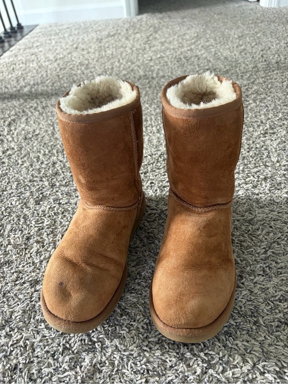 UGG Chestnut Suede Shearling-Lined Boot Interior